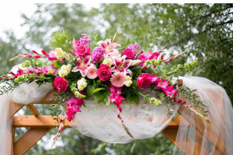 Addie Lane: A Multifaceted Talent with a Heart of Gold