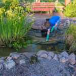 Cleaner Pond